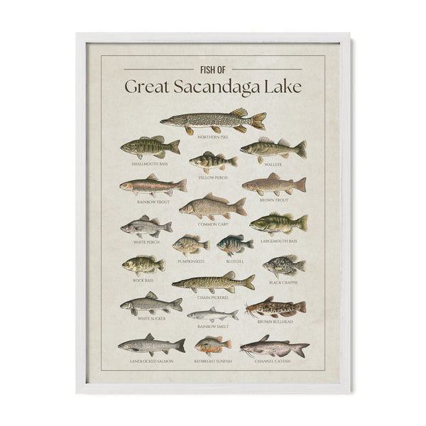 Great Sacandaga Lake Print