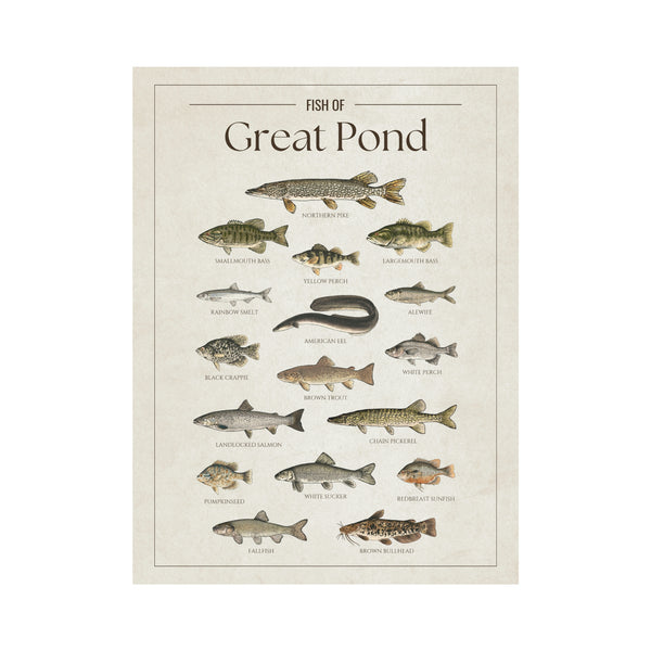 Great Pond Print
