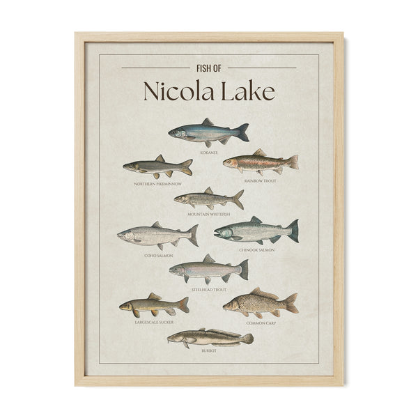 Nicola Lake Print