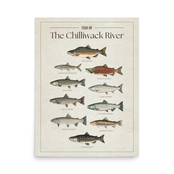The Chilliwack River Print