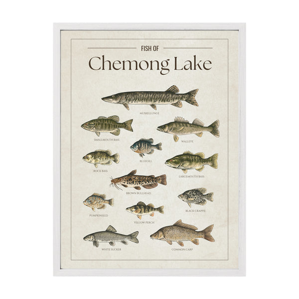 Chemong Lake Print
