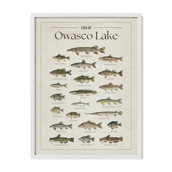 Owasco Lake Print