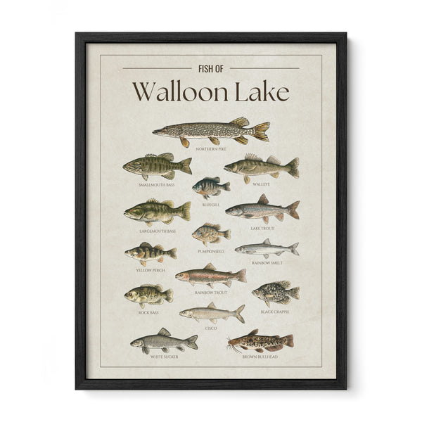 Walloon Lake Print