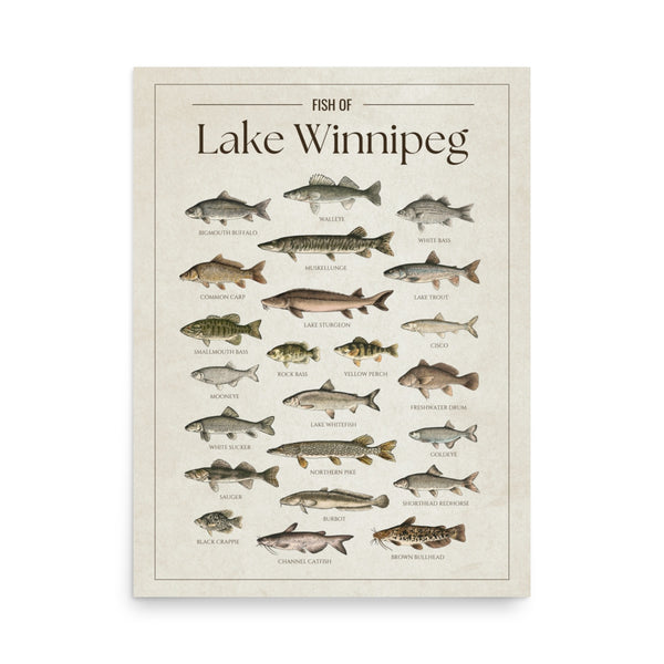Lake Winnipeg Print