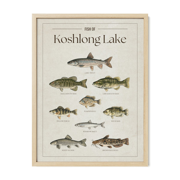 Koshlong Lake Print