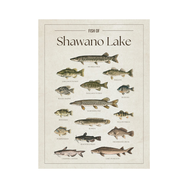 Shawano Lake Print
