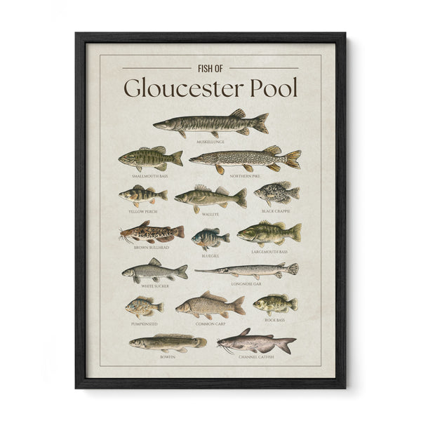 Gloucester Pool Print