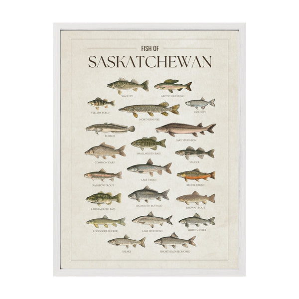 Saskatchewan Print