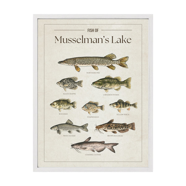 Musselman's Lake Print