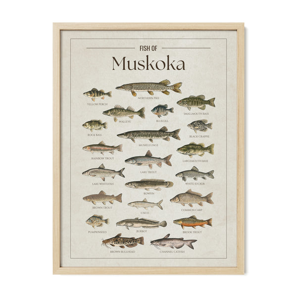Muskoka Print