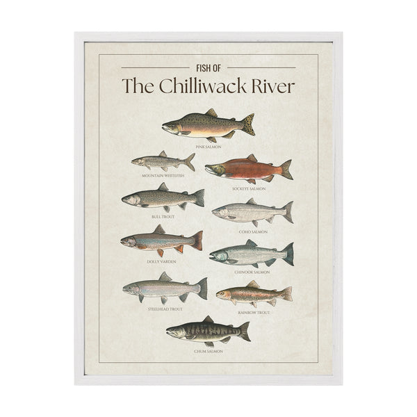 The Chilliwack River Print