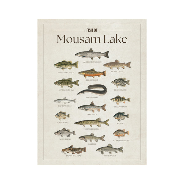 Mousam Lake Print