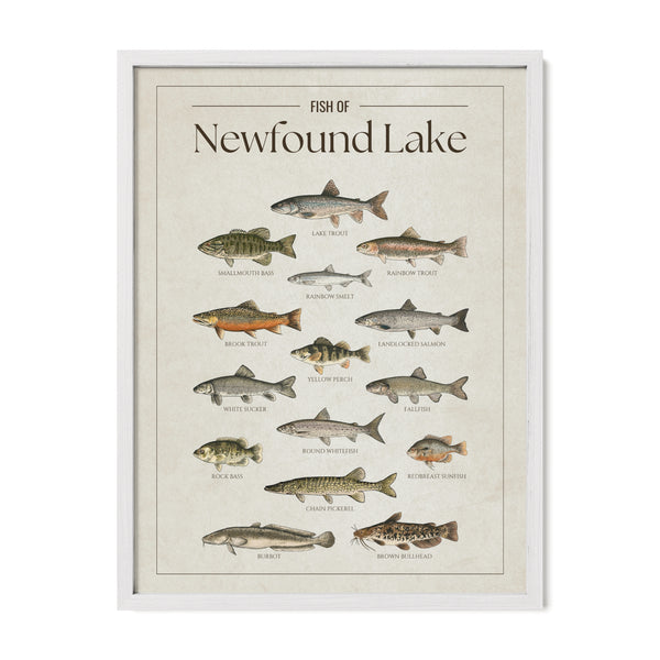 Newfound Lake Print