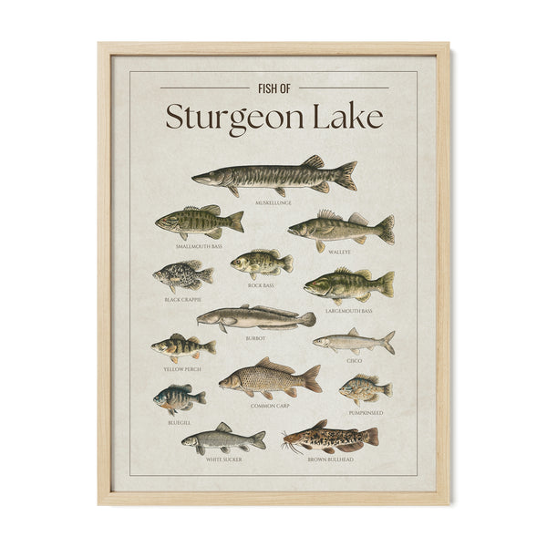 Sturgeon Lake Print