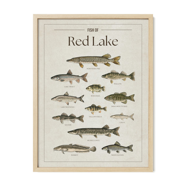 Red Lake Print