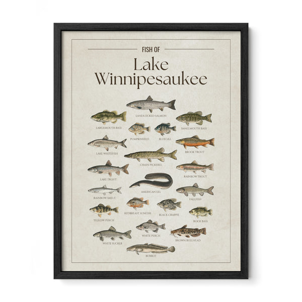 Lake Winnipesaukee Print