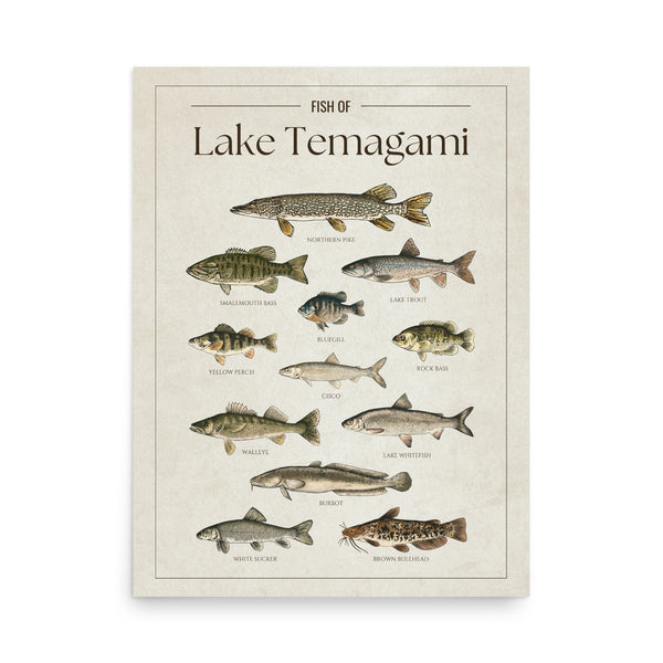 Lake Temagami Print