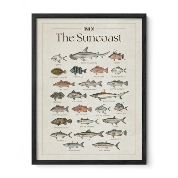 The Suncoast Print