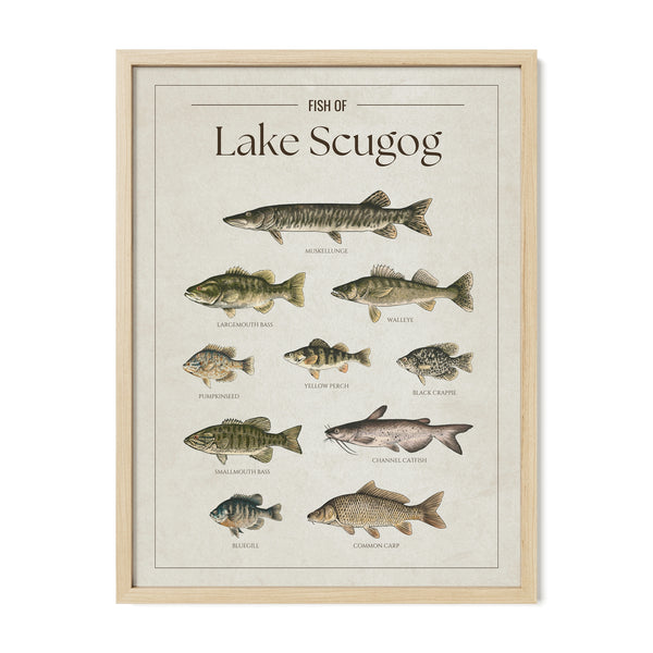 Lake Scugog Print