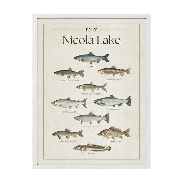 Nicola Lake Print