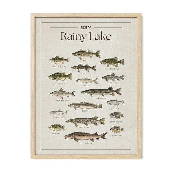 Rainy Lake Print
