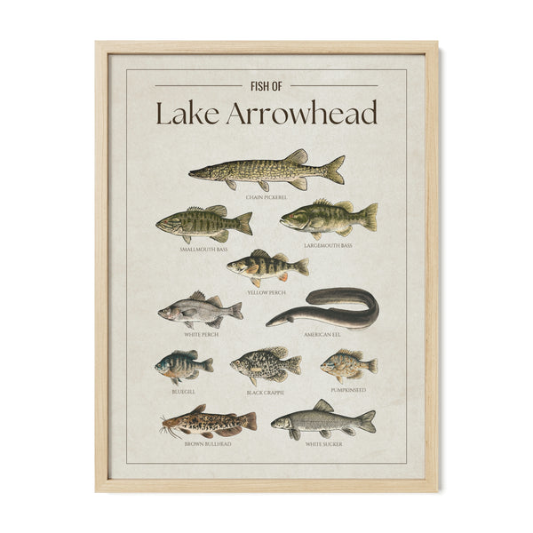 Lake Arrowhead Print