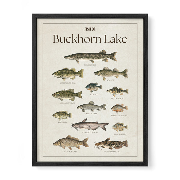 Buckhorn Lake Print