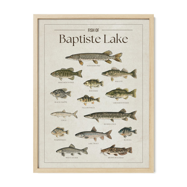 Baptiste Lake Print
