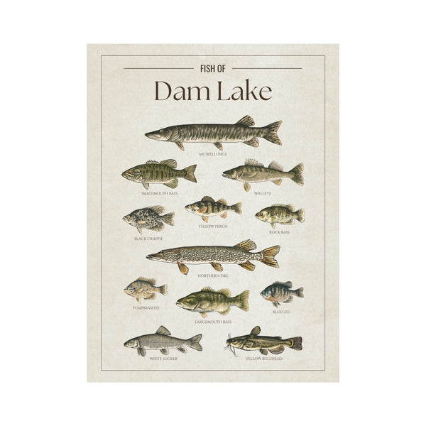 Dam Lake Print
