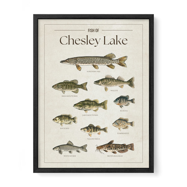 Chesley Lake Print