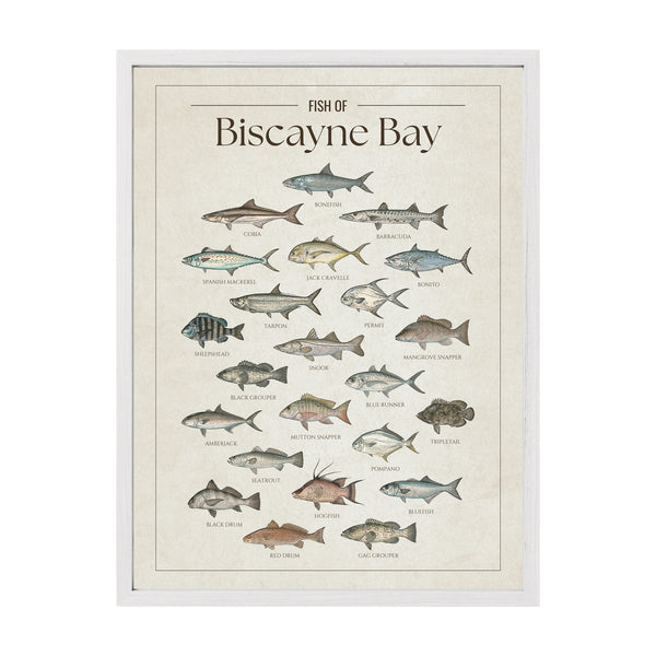 Biscayne Bay Print