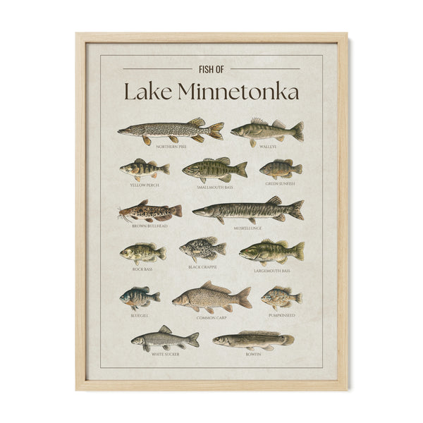 Lake Minnetonka Print