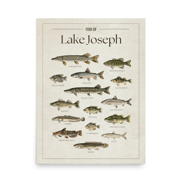 Lake Joseph Print