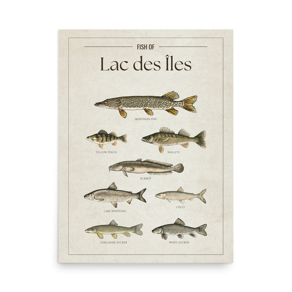 Lac des Îles Print