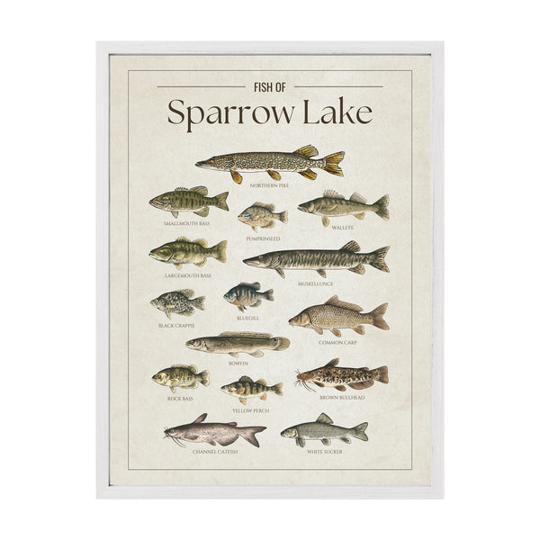 Sparrow Lake Print