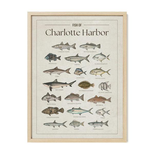 Charlotte Harbor Print