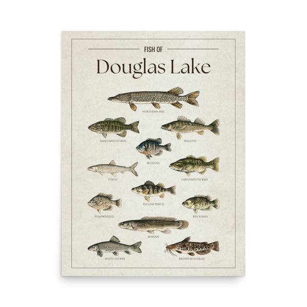 Douglas Lake Print