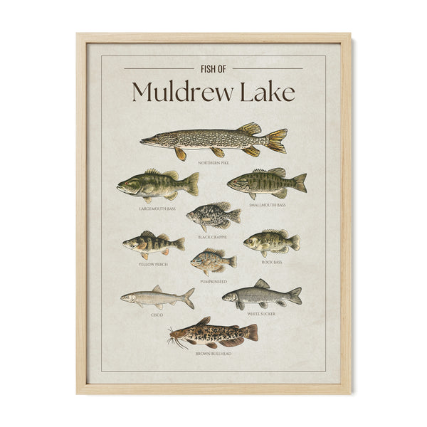 Muldrew Lake Print
