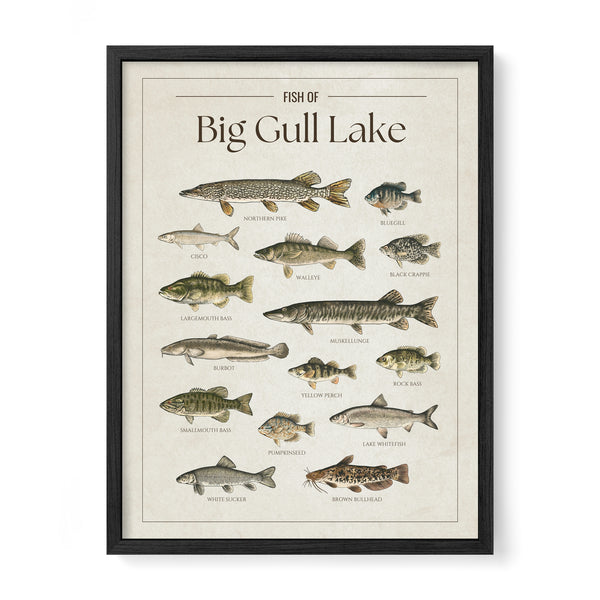 Big Gull Lake Print