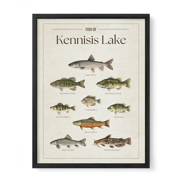 Kennisis Lake Print