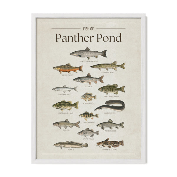 Panther Pond Print