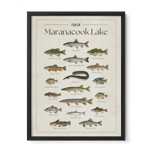 Maranacook Lake Print