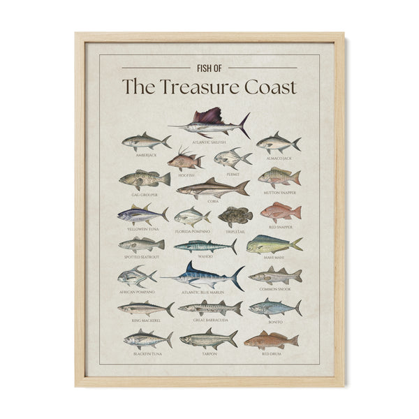 Fish of the Treasure Coast poster with natural frame featuring illustrated Florida saltwater fish species including Atlantic sailfish, Atlantic blue marlin, mahi mahi, wahoo, tarpon, yellowfin tuna, blackfin tuna, king mackerel, cobia, snook, red snapper, and barracuda. Vintage Florida fish identification print and coastal wall art for anglers and fishing enthusiasts."