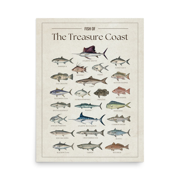 Fish of the Treasure Coast poster featuring illustrated Florida saltwater fish species including Atlantic sailfish, Atlantic blue marlin, mahi mahi, wahoo, tarpon, yellowfin tuna, blackfin tuna, king mackerel, cobia, snook, red snapper, and barracuda. Vintage Florida fish identification print and coastal wall art for anglers and fishing enthusiasts."