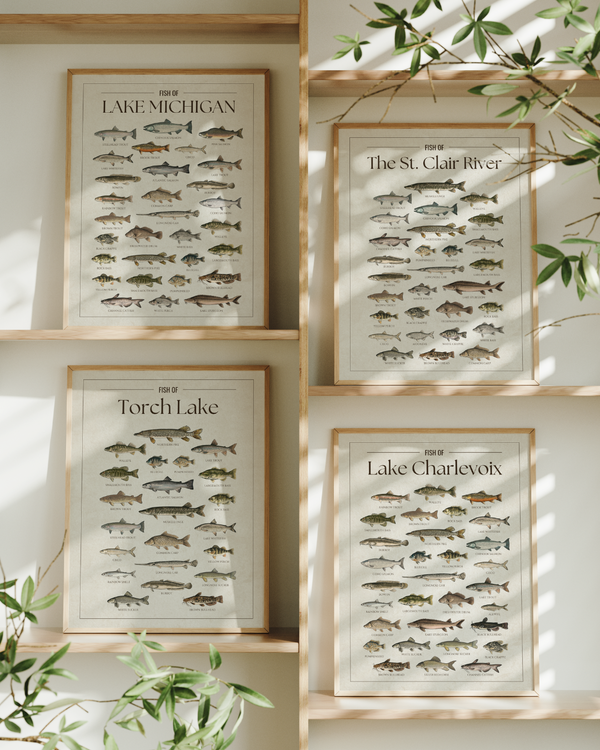 Framed Prints of Michigan, St Clair River, Torch Lake, and Lake Charlevoix