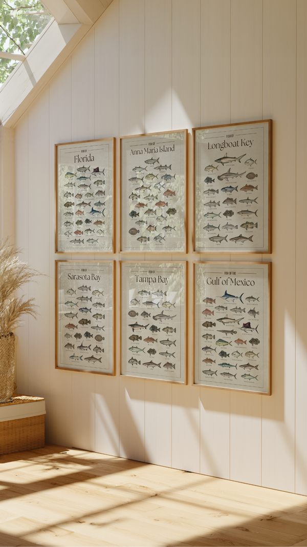 Florida Collection