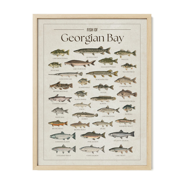 Georgian Bay Print