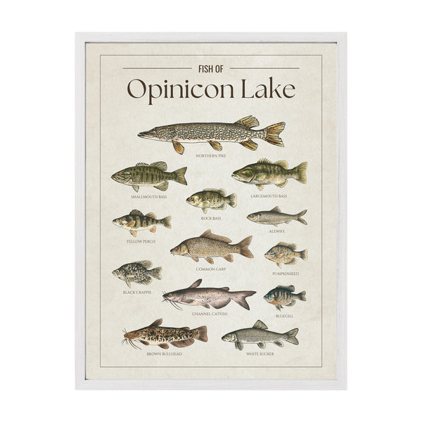 Opinicon Lake Print