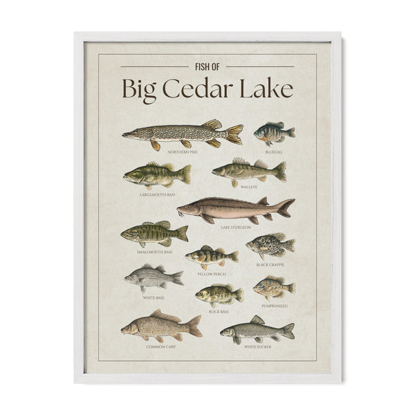 Big Cedar Lake Print