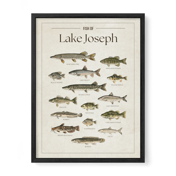 Lake Joseph Print